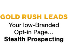 Real Estate Lead Generation